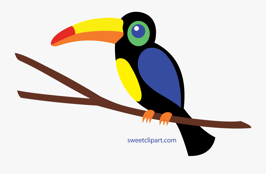 Toucan Clip Art - Toucan Clipart, Transparent Clipart