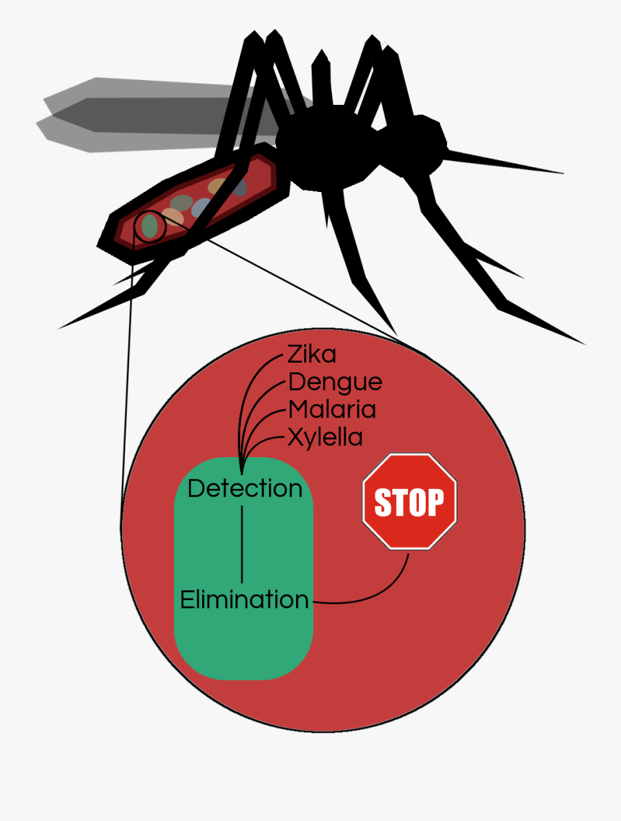 Disease Clipart Dengue Fever - Insect, Transparent Clipart