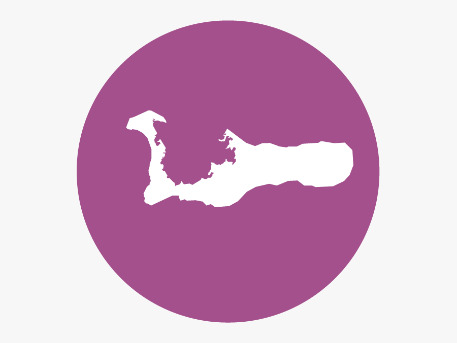 Medicine Clipart Yellow Fever - Hepps Wall Grand Cayman, Transparent Clipart