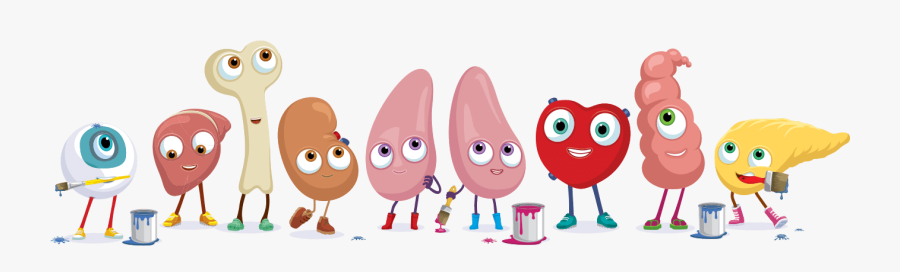 Organ Transplantation Animated, Transparent Clipart