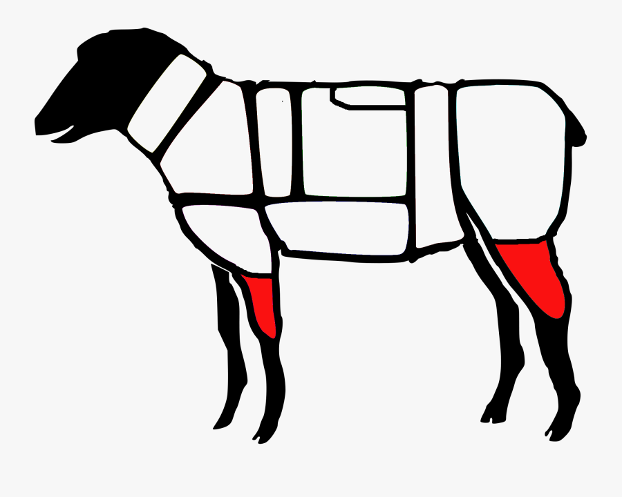 Primary Cuts Of Lamb, Transparent Clipart