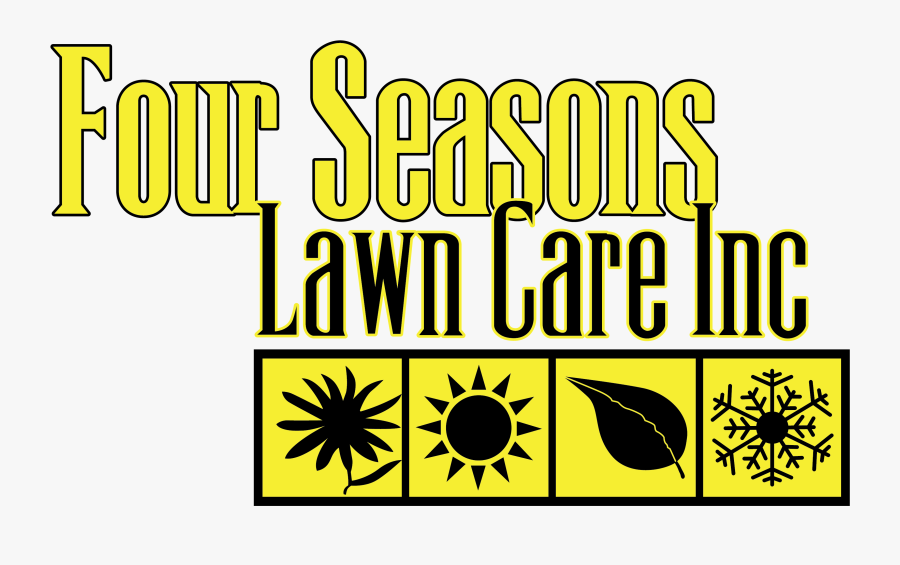 Graphic Design, Transparent Clipart