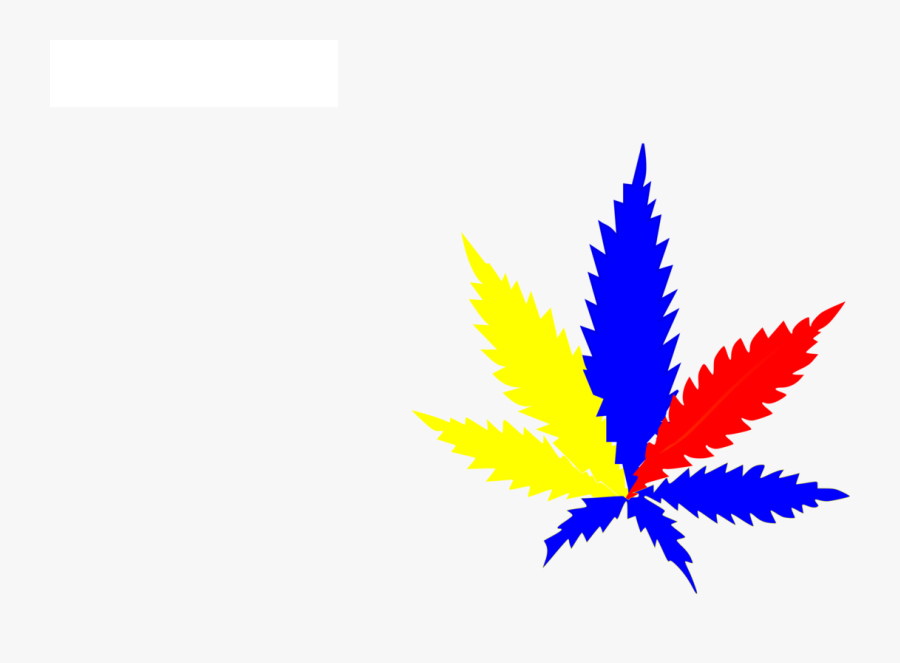 Plant,leaf,symmetry - Painkillers For Period Pains, Transparent Clipart