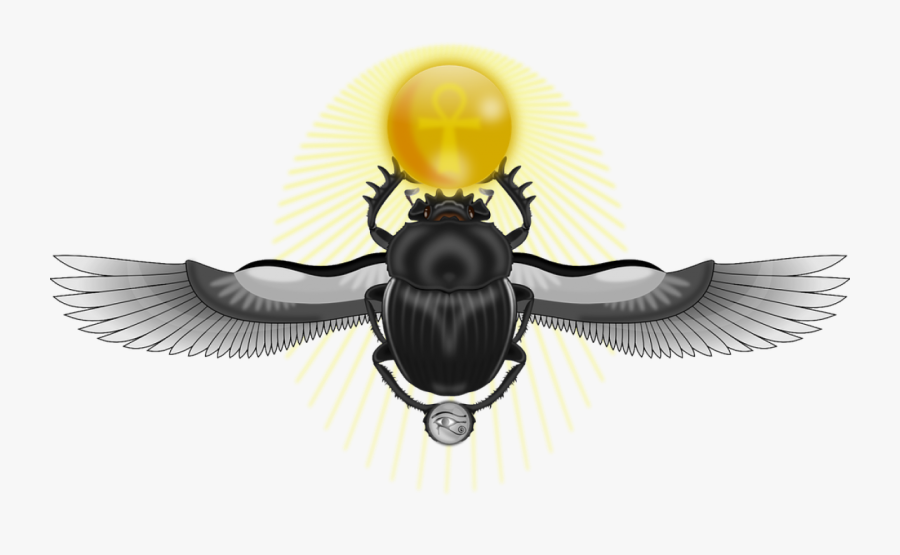 Dung Beetle Ancient Egypt Scarabs Free Commercial Clipart - Escaravelho Egipcio Png, Transparent Clipart