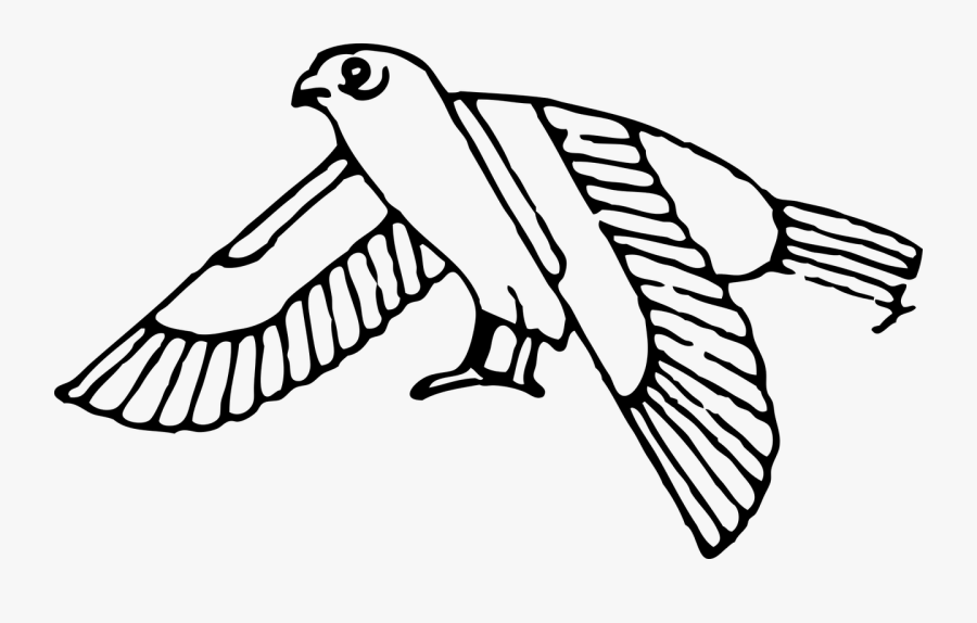 Line Art,wildlife,monochrome Photography - Ancient Egypt Animals Drawings, Transparent Clipart