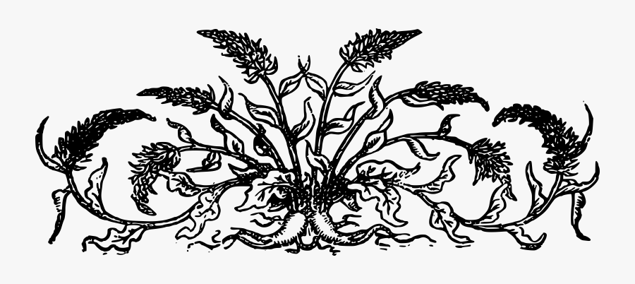 Portable Network Graphics, Transparent Clipart