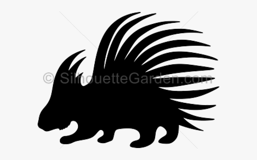 Porcupine Clipart Vector - Pucca Games, Transparent Clipart