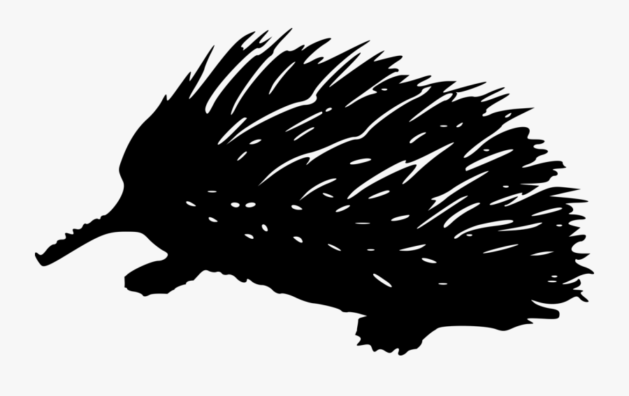 Echidna Clipart Black And White, Transparent Clipart