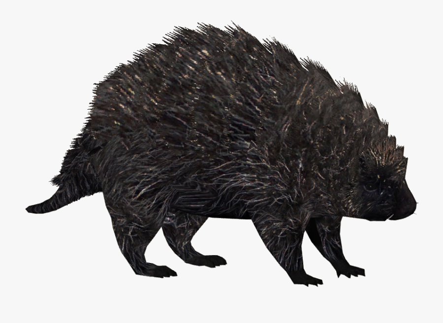 Transparent Figure Png - North American Porcupine Png, Transparent Clipart
