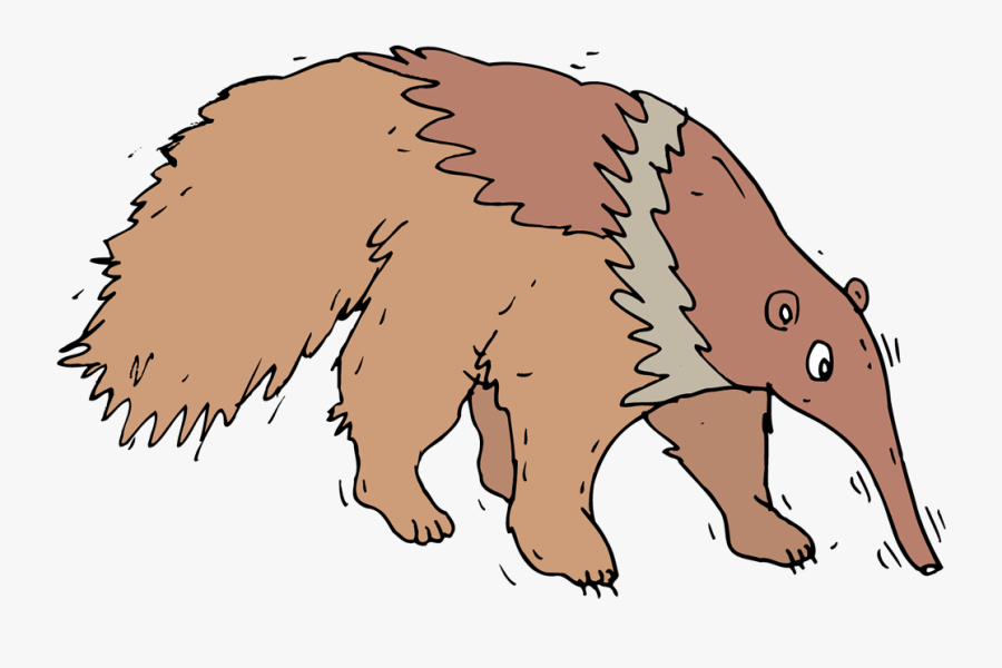 Anteater - Porcupine, Transparent Clipart