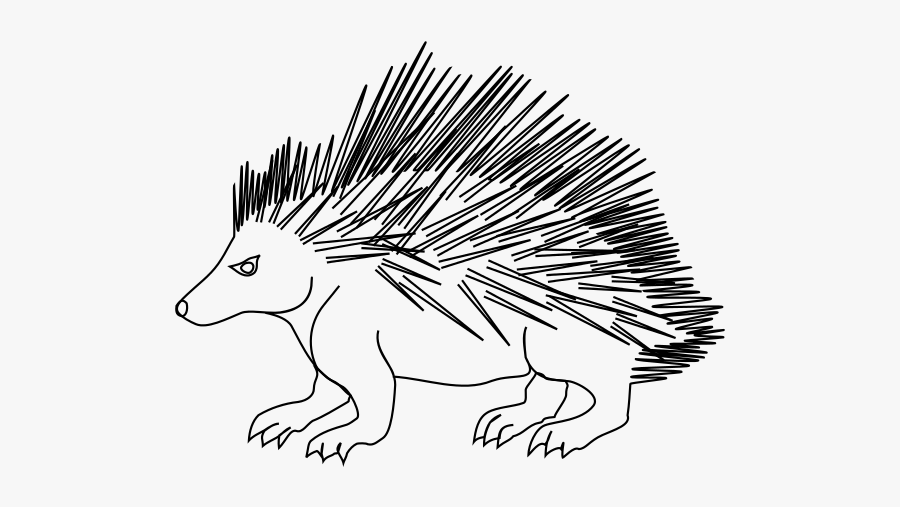 Porcupine - Pest, Transparent Clipart