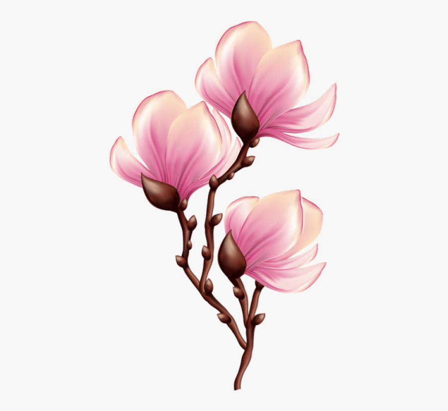 Beautiful Blooming Branch Transparent Png - Blooming Flower Clipart Transparent, Transparent Clipart