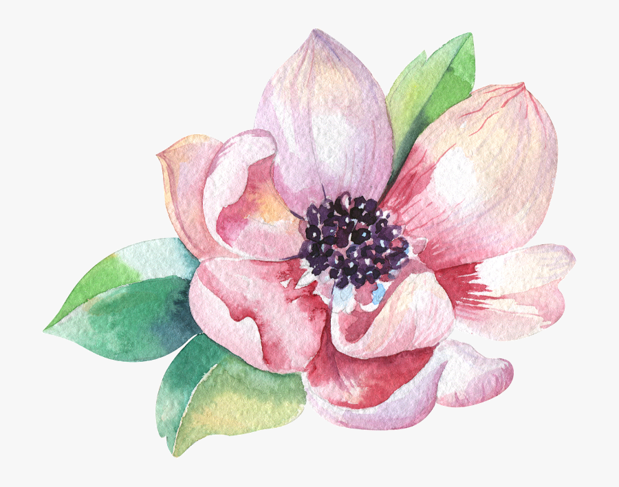 Clip Art Home Magnolias Pinterest - Magnolia Clipart Free Watercolor, Transparent Clipart
