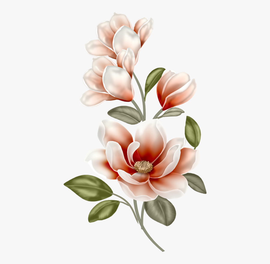 Magnolias, Çizimler, Stickers, Boya Kalemi, Kumaşlar, - Watercolor Magnolia Clipart Free, Transparent Clipart