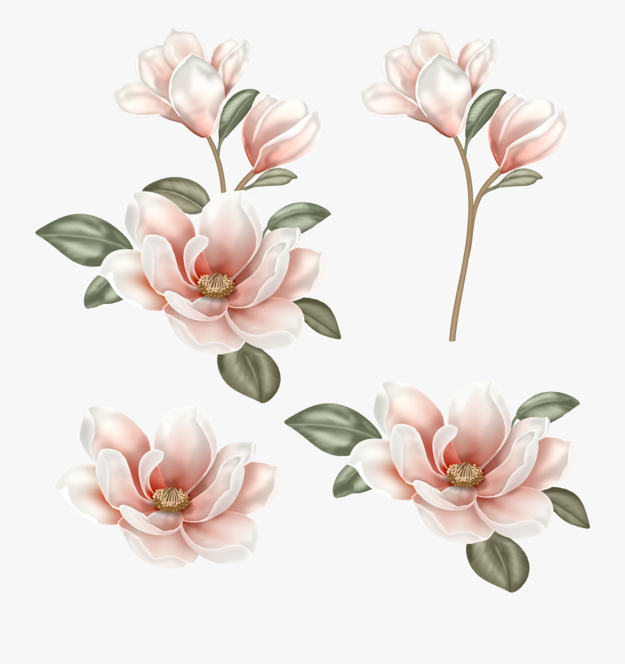 Clip Art Transparent Download Huge - Magnolia Clipart, Transparent Clipart