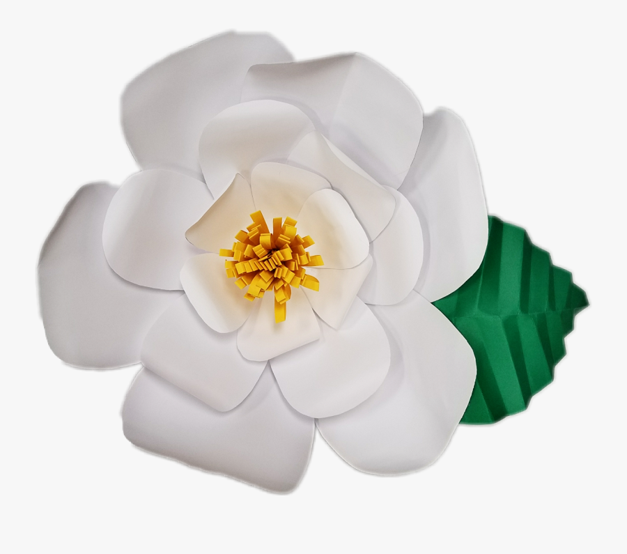 Magnolia Clipart Single - Portable Network Graphics, Transparent Clipart