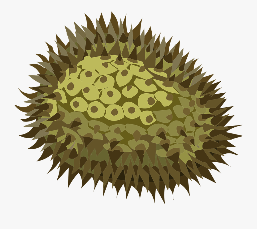 Porcupine-fishes - Durian Vector Transparent, Transparent Clipart