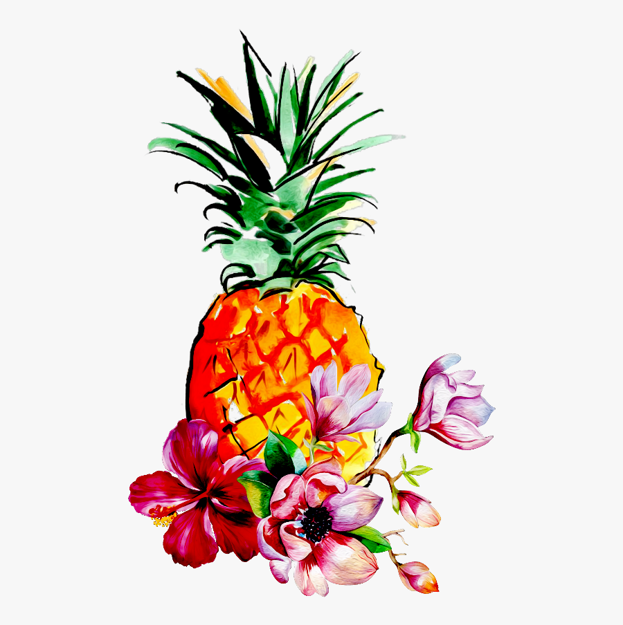 Kris Art "magnolia Flower - Watercolor Pineapple Drawing , Free