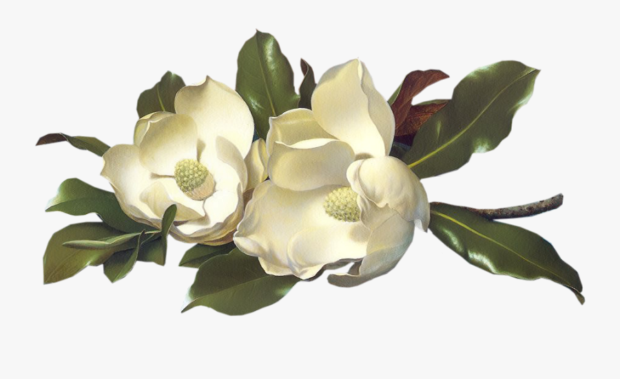 Clip Art Flowers Large Image Click - Fajne Kartki Z Pozdrowieniami, Transparent Clipart