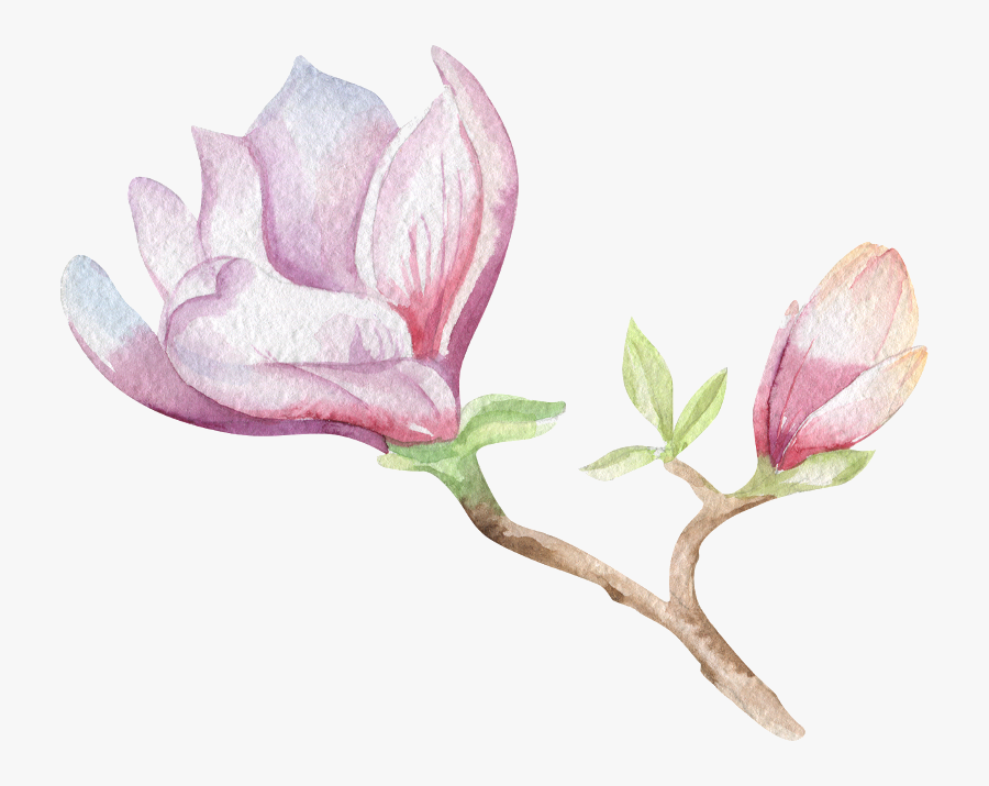 Orquidea Aquarela Png, Transparent Clipart