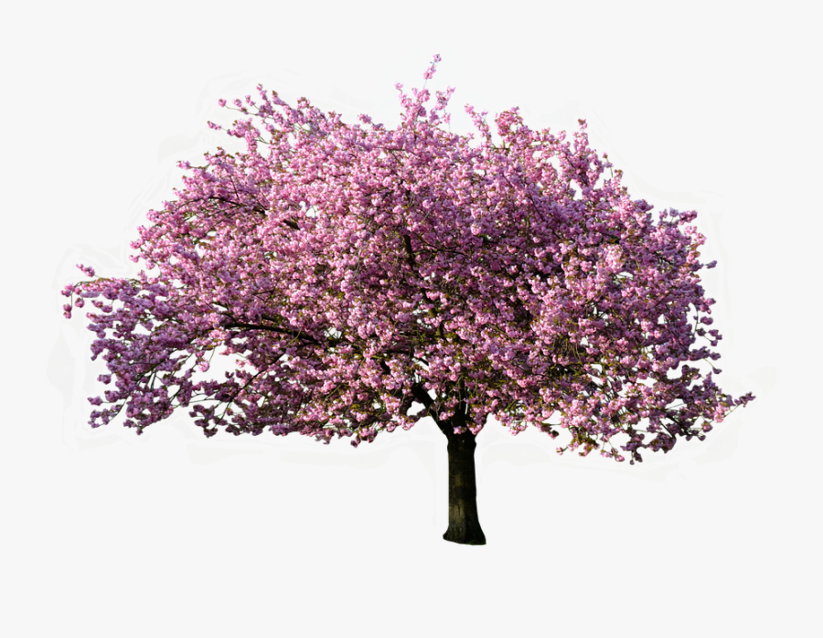 Christmas Nature Transparent Background Png Download - Transparent Background Flower Tree Png, Transparent Clipart