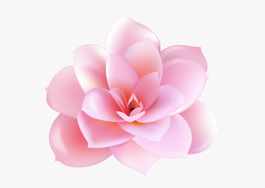 Plant,botany,japanese Camellia,camellia,clip Art,rose - Portable Network Graphics, Transparent Clipart