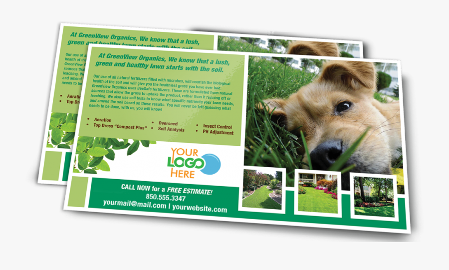 Postcard Png Clipart - Companion Dog, Transparent Clipart