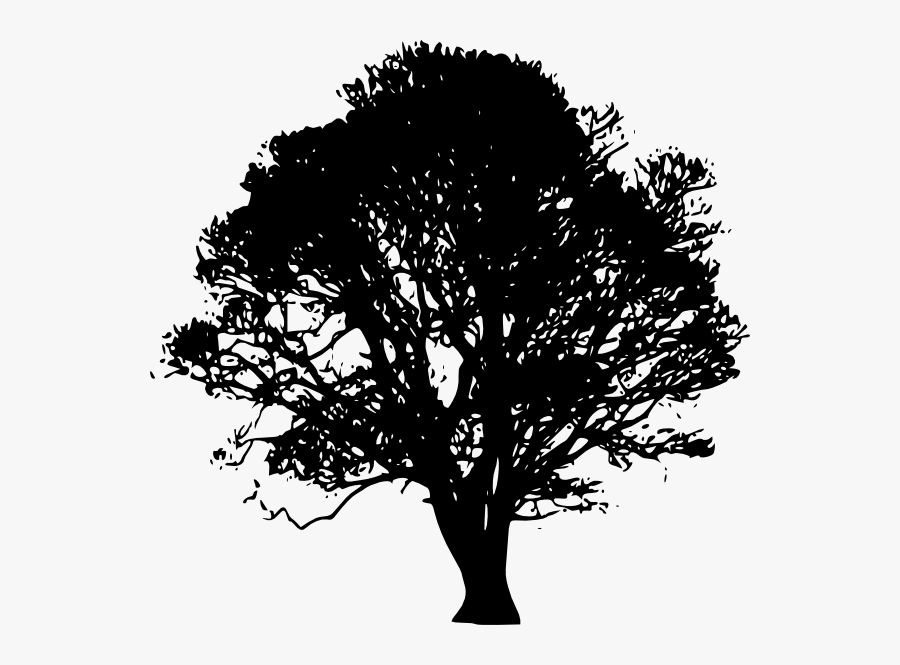 Tree Clip Art - Black & White Oak Tree, Transparent Clipart