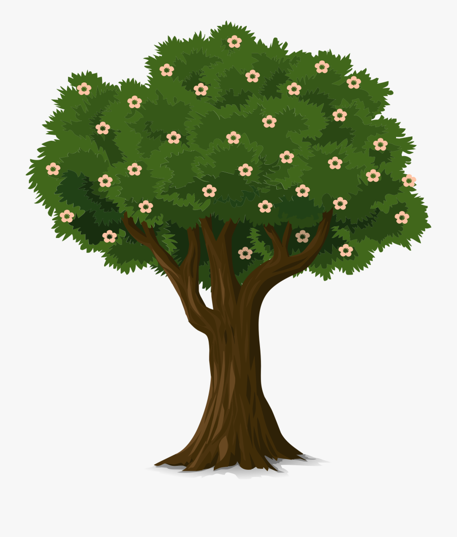 Transparent Magnolia Tree Png - Tree With Flower Clipart, Transparent Clipart