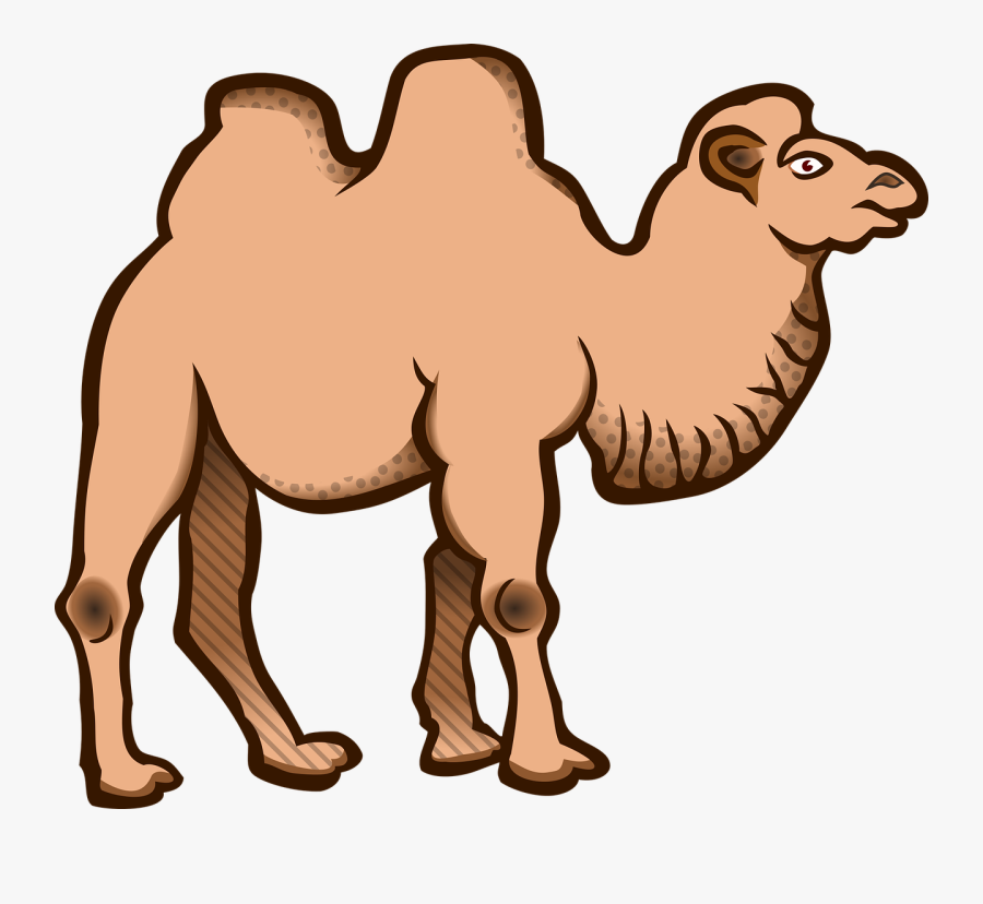 Clipart Camel Coloured - Camel White And Black, Transparent Clipart