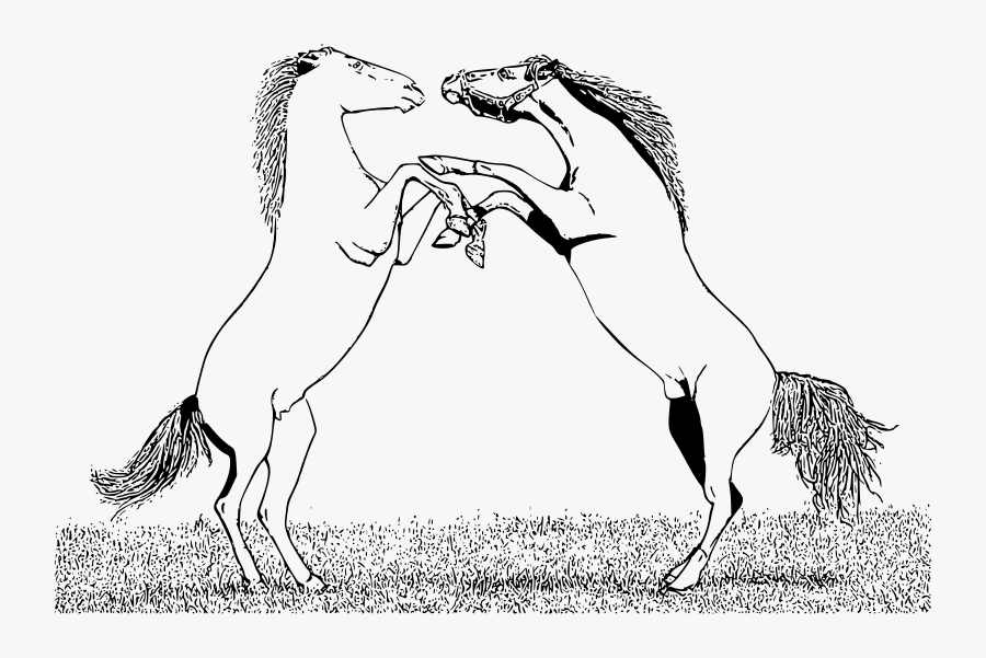 Stallions Fighting - Bucking Horse Coloring Pages , Free Transparent