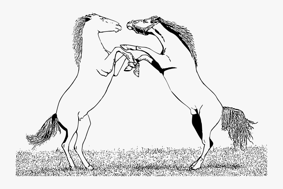Bucking Horse Coloring Pages At Getcolorings Com Free Printable Vrogue