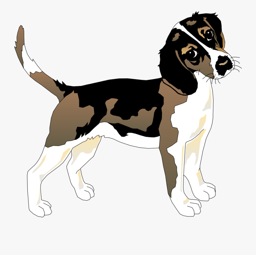Datos Curiosos Del Perro, Transparent Clipart