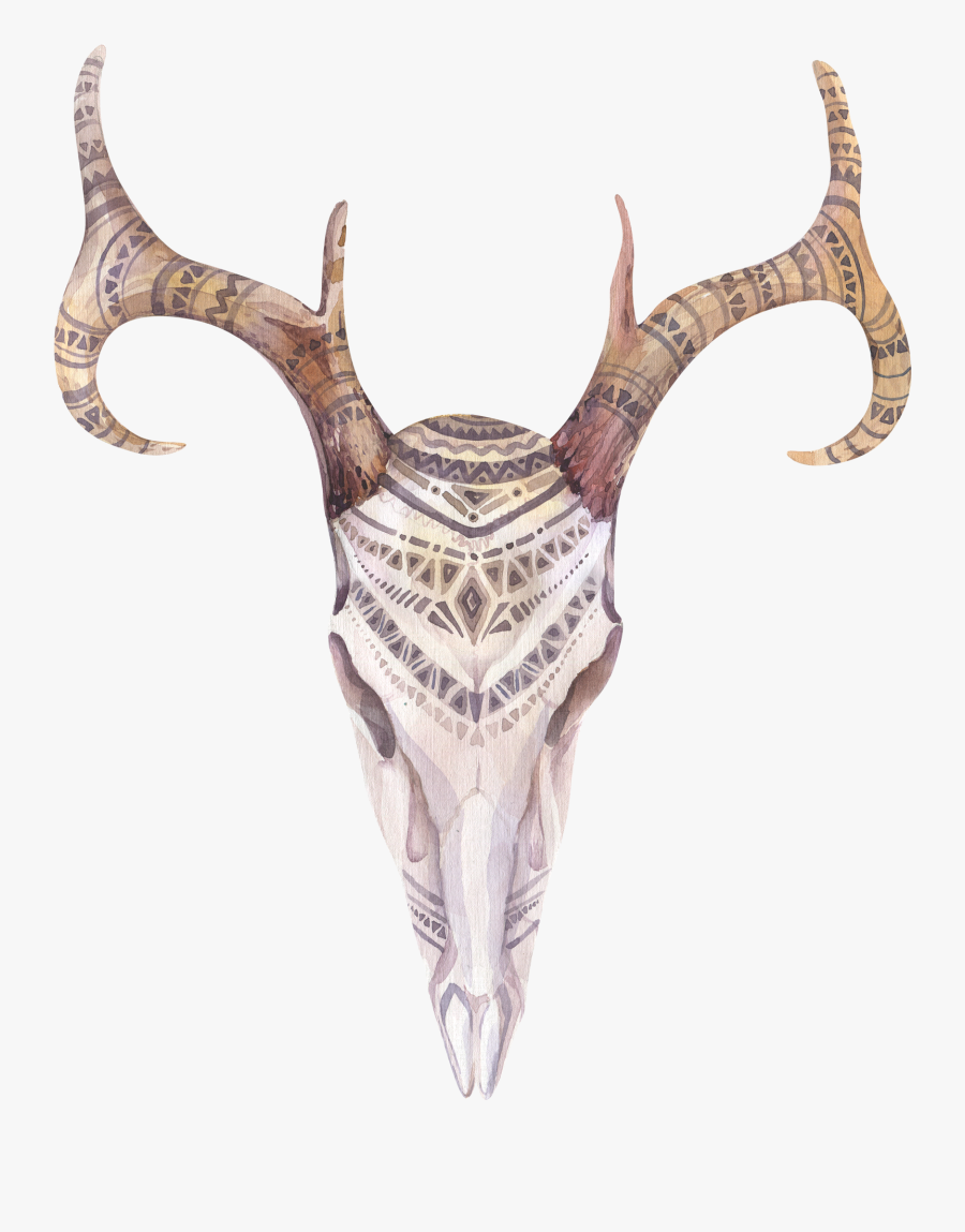 Boho Chic Watercolor Painting Skull Feather Illustration - Bohemian Deer Skull Print, Transparent Clipart