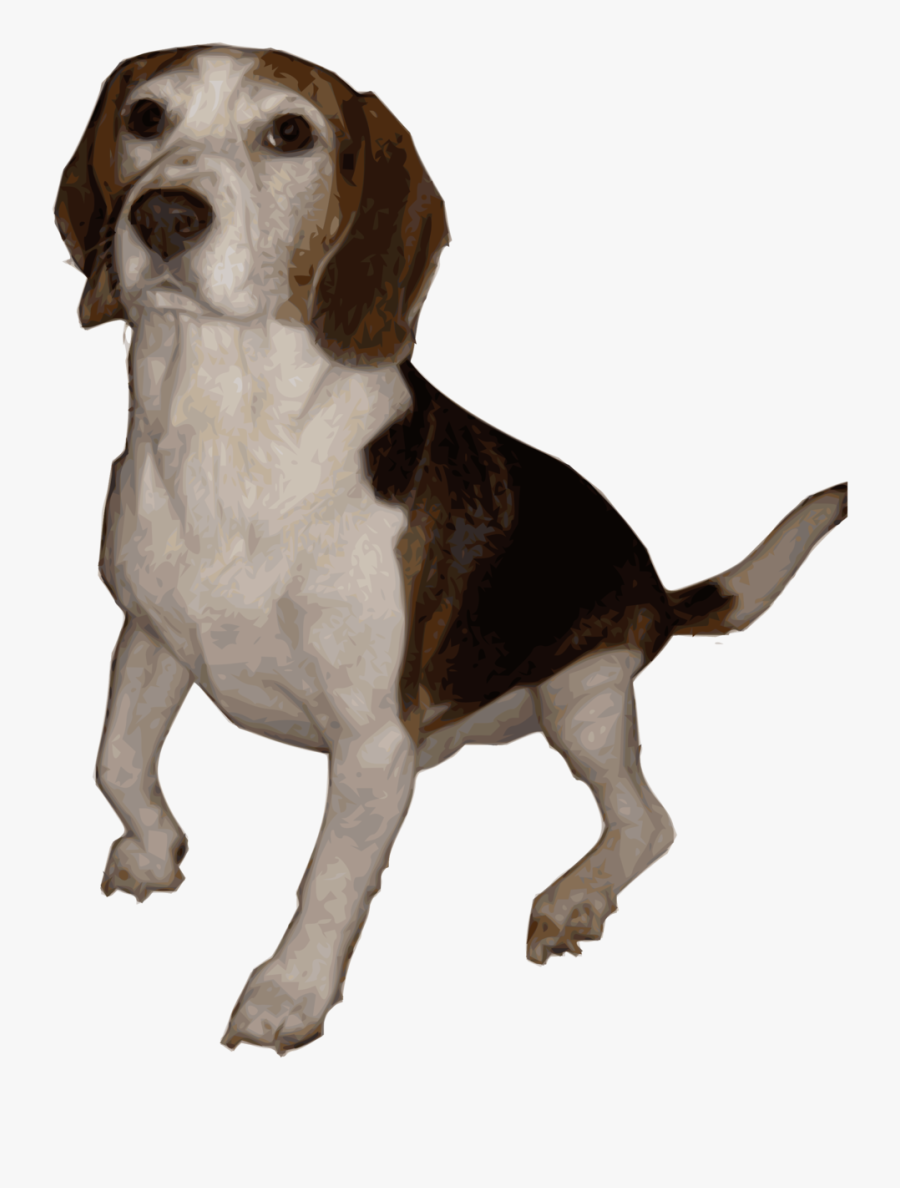 Beagle Small Version - Beagle Bitmap, Transparent Clipart