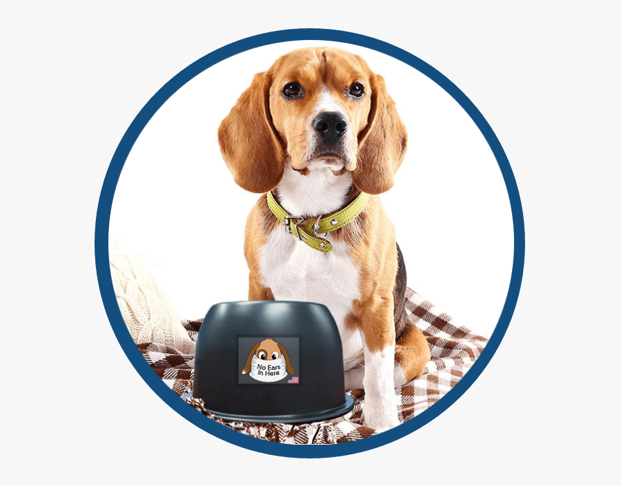 Transparent Foxhound Png - Dog, Transparent Clipart