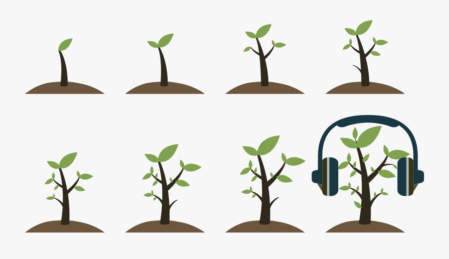 Trees Grow Icon Png, Transparent Clipart