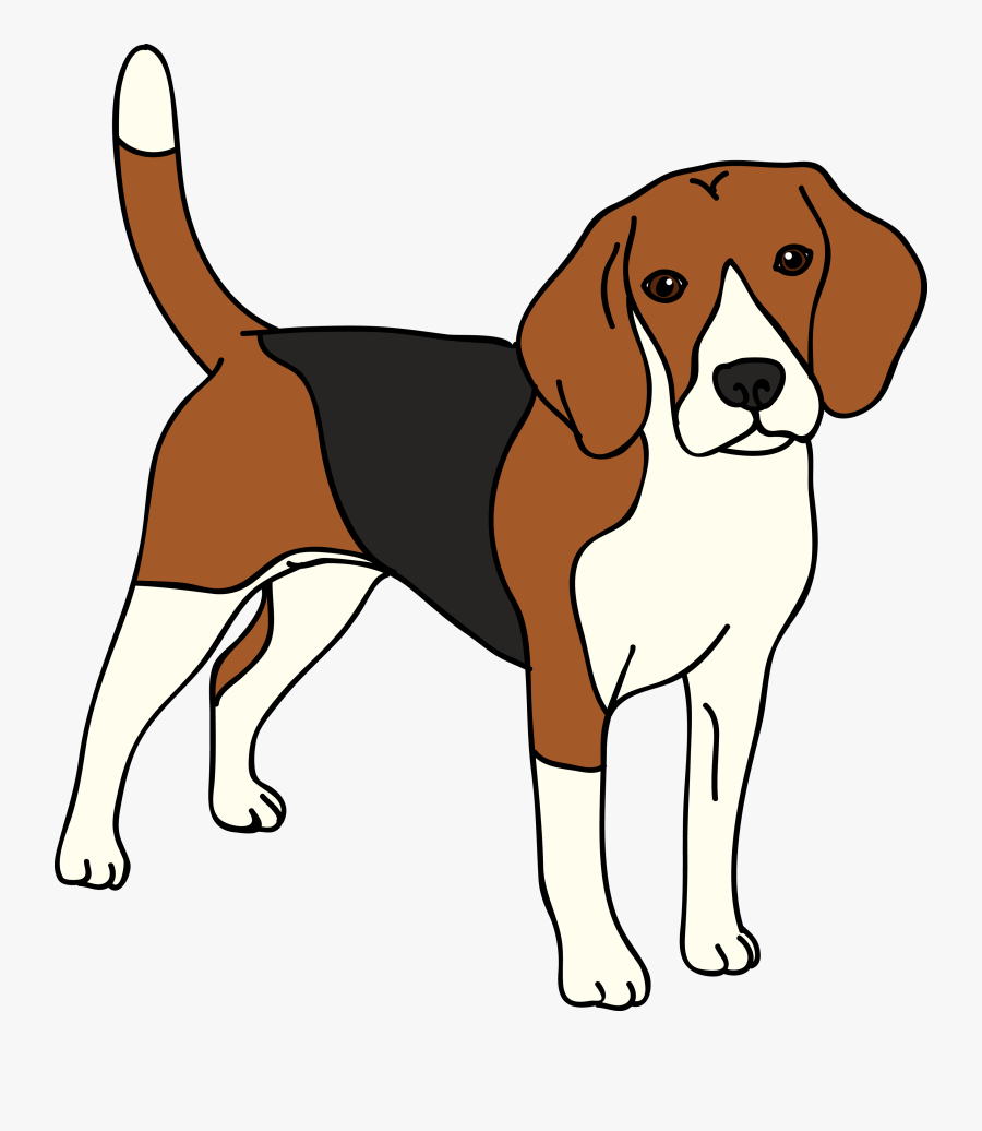 Beagle Vector Dog - Transparent Background Beagle Clip Art , Free
