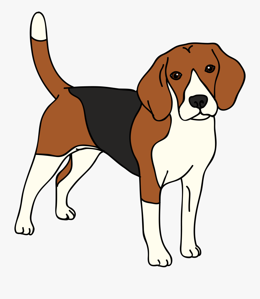 Beagle Vector Dog - Transparent Background Beagle Clip Art, Transparent Clipart