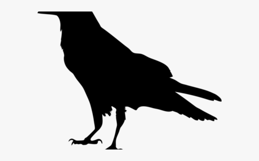 Raven Silhouette, Transparent Clipart