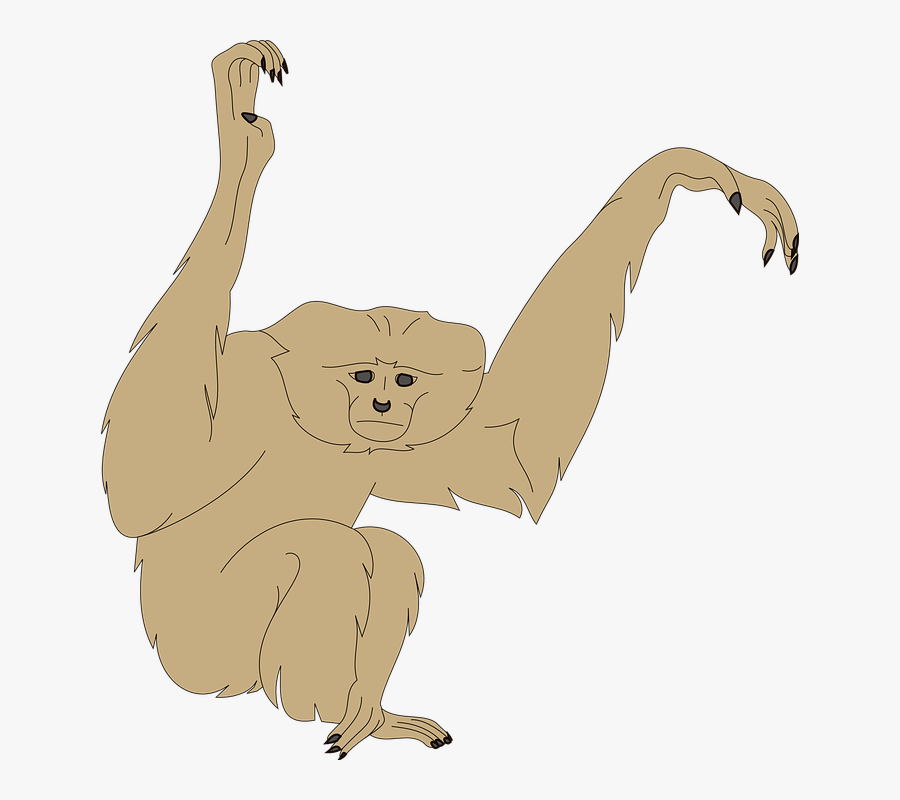Monkey, Face, Arms, Raised, Animal, Fur, Wildlife - Coat Of Arms Monkey, Transparent Clipart