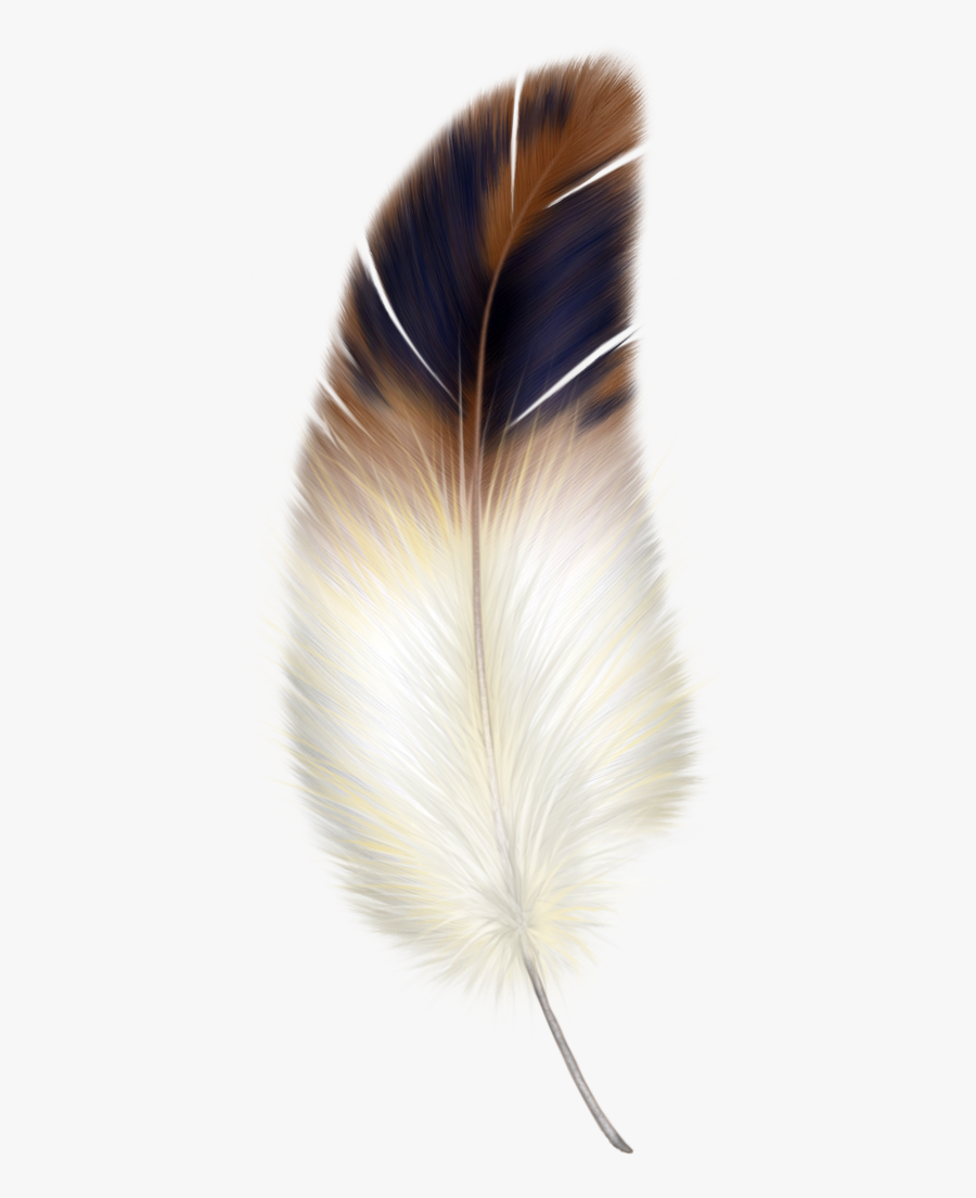 White Feather Png - Bird Feather Clipart, Transparent Clipart
