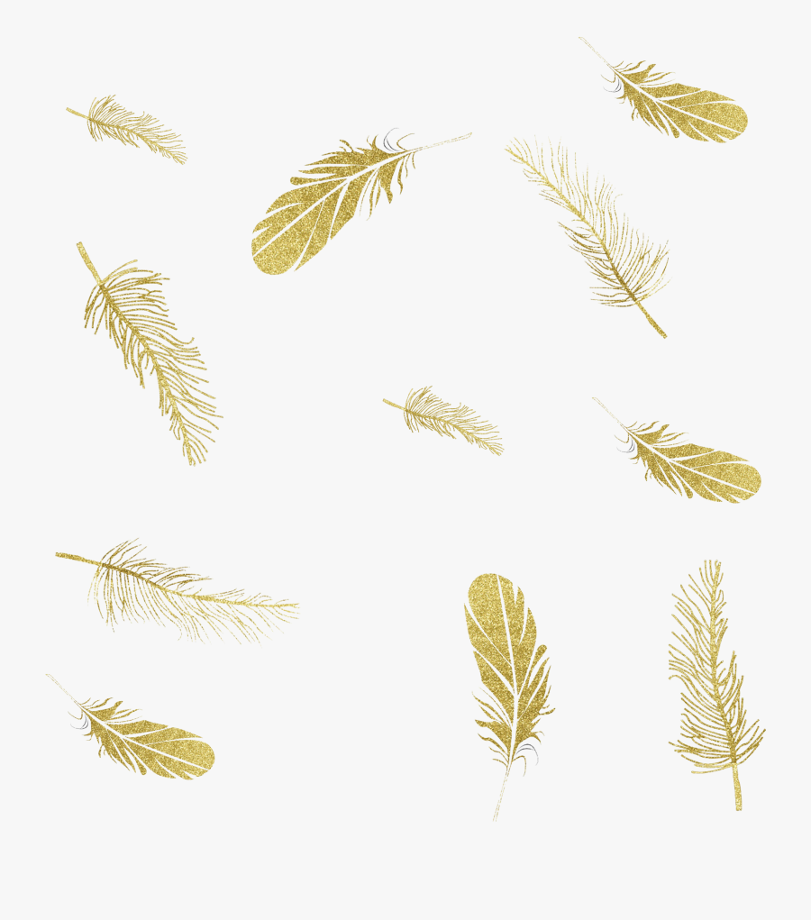 Feather Graphics Ink Portable Network Png File Hd Clipart - Gold Falling Feathers, Transparent Clipart