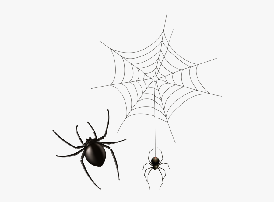 Spider And Cobweb Png Clipart Image - Transparent Background Spider Web Clipart, Transparent Clipart