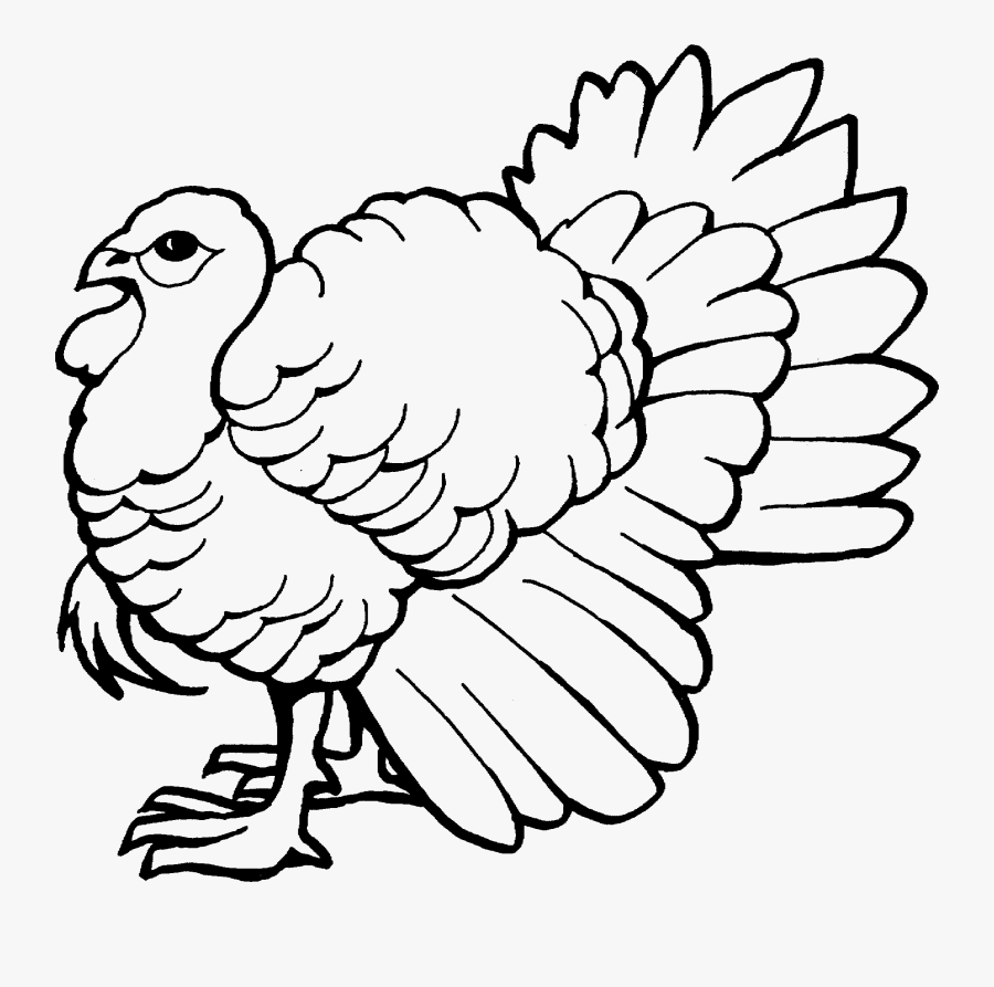 The Big Wild Turkey Coloring Pages - Easy Wild Turkey Drawings, Transparent Clipart