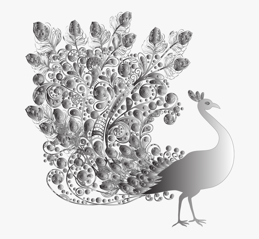 Visual Arts,monochrome Photography,tree - Transparent Png Peacock Png, Transparent Clipart