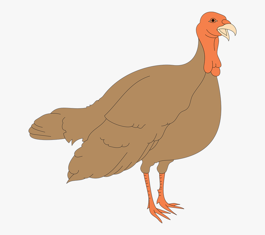 Turkey Hen Clipart, Transparent Clipart