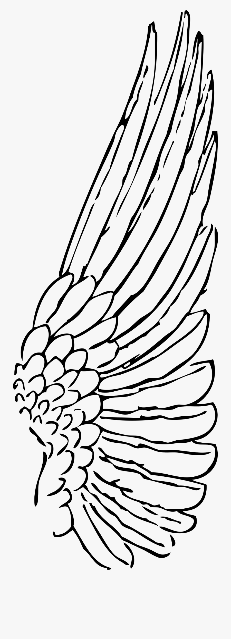 Transparent Turkey Feather Clipart Black And White - Wing Clipart, Transparent Clipart