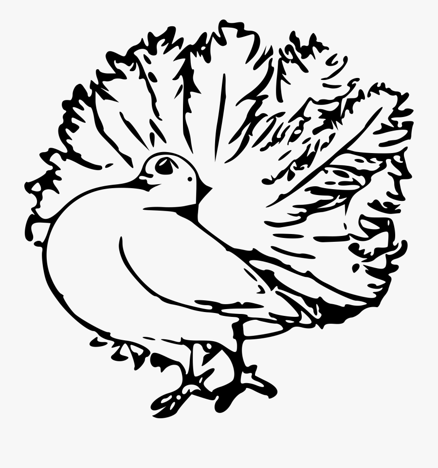 Free Pigeon Outline Clipart Clipart And Vector Image - Homing Pigeon Black And White, Transparent Clipart