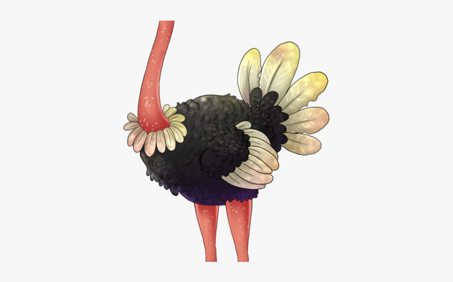 Ostrich Images Clip Art, Transparent Clipart